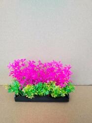 Răsad de acvariu roz cu plante mici galbene și verzi la bază (20 cm)