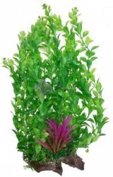 Plantă de acvariu înaltă, cu frunze verzi dense și iarbă de mare purpurie la bază 33 cm