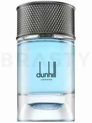 Dunhill Signature Collection - Nordic Fougere EDP 100 ml Parfum