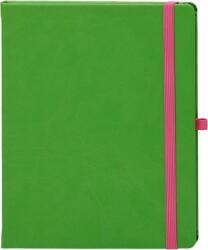 EGO Agenda Notebook Pro 16 cm, nedatata, Ego verde-roz EGONP16CV12-02 (EGONP16CV12-02)