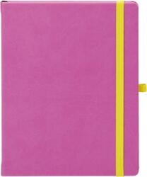 EGO Agenda Notebook Pro 16 cm, nedatata, Ego roz-galben EGONP16CV4-02 (EGONP16CV4-02)