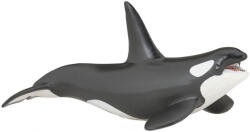 Papo Figurina Papo Marine Life - Balena ucigasa (56000)
