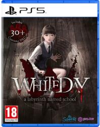 PQube White Day A Labyrinth Named School (PS5)