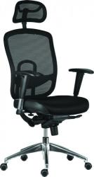 Antares Oklahoma headrest