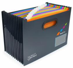 Rapesco Mapa documente extensibila A4 13 compartimente negru Rapesco (RP-1489) - dacris