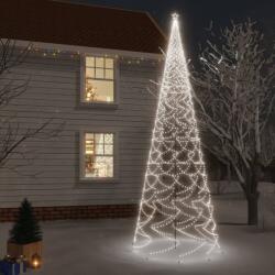 vidaXL Brad de Crăciun cu țăruș, 3000 LED-uri, alb rece, 800 cm (343579) - vidaxl