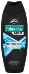 Palmolive Gel de duș pentru bărbați „Oceanul de Nord - Palmolive Shower Gel Man 250 ml