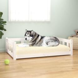 vidaXL Pat pentru câini, alb, 105, 5x75, 5x28 cm, lemn masiv de pin (820203) - vidaxl