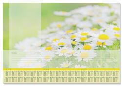 SIGEL Könyökalátét, 595×410 mm, 3 éves tervezővel, SIGEL Lovely Daisies (SIHO307)