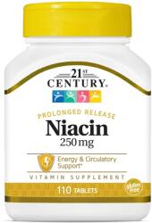 21st Century Niacin, Prolonged Release, 250 mg, 110 db, 21st Century