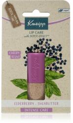 Kneipp Elderberry balsam de buze 4.7 g