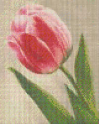 Pixelhobby 804073 Tulipán (20, 3x25, 4cm) négy alaplapos szett (804073)