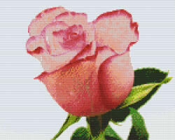 Pixelhobby 809361 Rózsa (38, 1cmx30, 5cm) 9 alaplapos szett (809361)