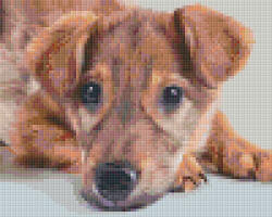 Pixelhobby 804448 Kölyöl kutyus (25, 4x20, 3cm) 4 alaplapos szett (804448)