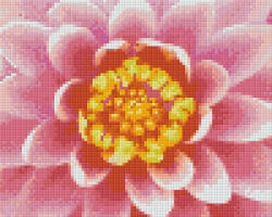 Pixelhobby 804449 Virág (25, 4x20, 3cm) 4 alaplapos szett (804449)