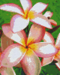 Pixelhobby 804273 Virág (20, 3x25, 4cm) 4 alaplapos szett (804273)