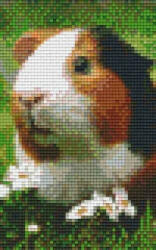 Pixelhobby 802099 Tengerimalac szett (12, 7x20, 3cm) (802099)