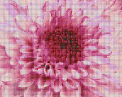 Pixelhobby 804450 Virág (25, 4x20, 3cm) 4 alaplapos szett (804450)
