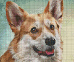 Pixelhobby 806148 Corgie szett 6 alaplapos (30, 5x25, 4 cm) (806148)