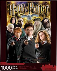 Aquarius - Puzzle Harry Potter Colaj - 1 000 piese Puzzle