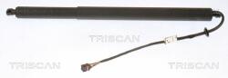TRISCAN Amortizor portbagaj TRISCAN 8710 43301 (8710 43301) - automobilus