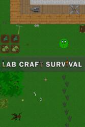 DoriTeam Lab Craft Survival (PC)