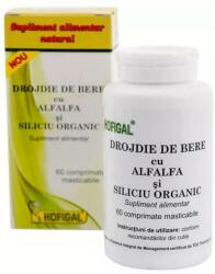 Hofigal Supliment Alimentar HOFIGAL Drojdie de Bere cu Alfalfa si Siliciu Organic 60 Comprimate Masticabile