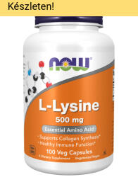 NOW NOW L-Lysine 500 mg 100kapszula - mrsupplement