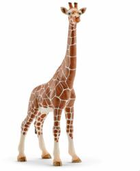 Schleich Figurina girafa, femela, Schleich 14750 (14750S)