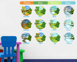 4 Decor Sticker - Invata Anotimpurile