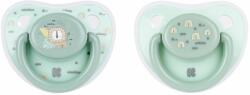 KikkaBoo Suzete din silicon KikkaBoo - Savanna, Mint, 0-6 luni, 2 buc (31303010043)