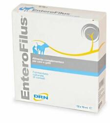  DRN Supliment Enterofilus, 12 fiole x 10 ml solutie buvabila