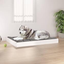 vidaXL Pat pentru câini, alb, 101, 5x74x9 cm, lemn masiv de pin (820867)