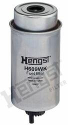 Hengst Filter filtru combustibil HENGST FILTER H609WK - automobilus