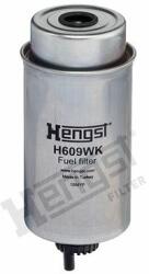 Hengst Filter filtru combustibil HENGST FILTER H609WK (H609WK) - automobilus