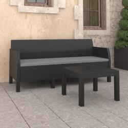vidaXL 2 részes antracit PP rattan párnákkal 3079668