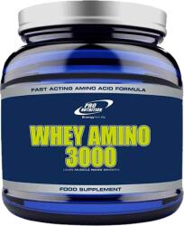 Pro Nutrition Whey Amino 3000 (120 tab. )