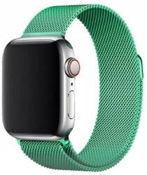Curea otel inoxidabil Magnetic Strap compatibila cu Apple Watch 1/2/3/4/5/6/SE 42/44mm Mint (9145576256046)