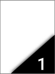 FORTUNA Etikett FORTUNA 210x297mm univerzális 100 címke/doboz 100 ív/doboz (01.01308) - papir-bolt