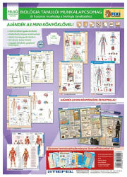 STIEFEL Tanulói munkalap csomag STIEFEL Biológia (TMCSOMAG5-U) - papir-bolt