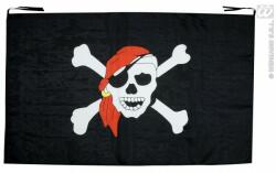 Widmann Decor Steag Pirat (WID6959P)