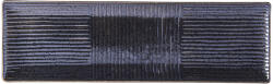 MIJ Farfurie pentru sushi și sashimi, 33 x 10 cm, neagră, MIJ