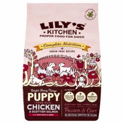 Lily's Kitchen Hrana uscata pentru caini Lily's Kitchen Puppy Chicken 1kg