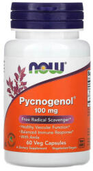 NOW Pycnogenol (Pinus Pinaster) 100 mg, Now Foods, 60 capsule