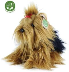 Rappa Yorkshire terrier 20 cm