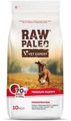 VetExpert Raw Paleo Carne de vită Cățeluș Mediu 10kg
