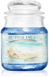 THD Vegetal Acqua Viva lumânare parfumată 100 g