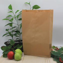 Romania Pungi Hartie Kraft Natur 17x7x40 cm (PHN066-MN17x40)
