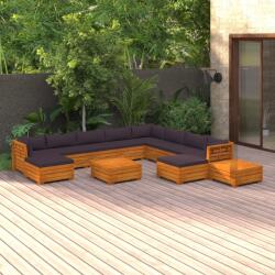 vidaXL Set mobilier grădină cu perne, 12 piese, lemn masiv de acacia (3087321)