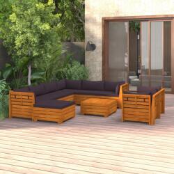 vidaXL Set mobilier grădină cu perne, 10 piese, lemn masiv de acacia (3087319)